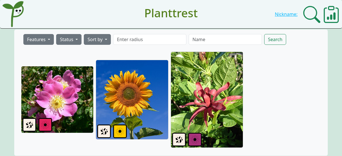 Screenshot of the Planttrest sighting grid showing three real plant sightings, a dog rose, a sunflower and a calycanthus, each with feature badges for seeds, fruit and flower colour